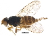  ( - BIOUG17119-D03)  @13 [ ] CreativeCommons - Attribution (2015) CBG Photography Group Centre for Biodiversity Genomics