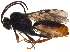  ( - BIOUG17135-F06)  @13 [ ] CreativeCommons - Attribution (2015) CBG Photography Group Centre for Biodiversity Genomics
