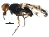  ( - BIOUG17026-F04)  @12 [ ] CreativeCommons - Attribution (2015) CBG Photography Group Centre for Biodiversity Genomics