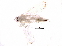  ( - BIOUG17172-G03)  @13 [ ] CreativeCommons - Attribution (2015) CBG Photography Group Centre for Biodiversity Genomics