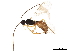  ( - BIOUG42747-H09)  @11 [ ] CreativeCommons - Attribution (2019) CBG Photography Group Centre for Biodiversity Genomics