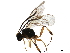  ( - BIOUG42751-H08)  @11 [ ] CreativeCommons - Attribution (2019) CBG Photography Group Centre for Biodiversity Genomics
