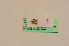  ( - BIOUG05147-G04)  @12 [ ] by-nc-sa (2020) SNSB, Staatliche Naturwissenschaftliche Sammlungen Bayerns SNSB, Zoologische Staatssammlung Muenchen