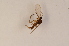  ( - BIOUG05207-A09)  @12 [ ] CreativeCommons - Attribution Non-Commercial Share-Alike (2015) Unspecified SNSB, Zoologische Staatssammlung Muenchen
