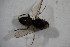  ( - BIOUG05209-G10)  @12 [ ] CreativeCommons - Attribution Non-Commercial Share-Alike (2015) Unspecified SNSB, Zoologische Staatssammlung Muenchen