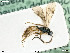  ( - BIOUG05262-E10)  @11 [ ] by-nc-sa (2020) SNSB, Staatliche Naturwissenschaftliche Sammlungen Bayerns SNSB, Zoologische Staatssammlung Muenchen