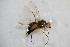  ( - BIOUG05388-A08)  @12 [ ] CreativeCommons - Attribution Non-Commercial Share-Alike (2015) Unspecified SNSB, Zoologische Staatssammlung Muenchen