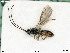  ( - BIOUG05394-C03)  @14 [ ] by-nc-sa (2020) SNSB, Staatliche Naturwissenschaftliche Sammlungen Bayerns SNSB, Zoologische Staatssammlung Muenchen