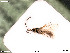  ( - BIOUG05394-C11)  @13 [ ] by-nc-sa (2020) SNSB, Staatliche Naturwissenschaftliche Sammlungen Bayerns SNSB, Zoologische Staatssammlung Muenchen