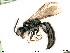  ( - BIOUG05397-C11)  @11 [ ] by-nc-sa (2020) SNSB, Staatliche Naturwissenschaftliche Sammlungen Bayerns SNSB, Zoologische Staatssammlung Muenchen