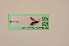  ( - BIOUG05397-D02)  @12 [ ] by-nc-sa (2020) SNSB, Staatliche Naturwissenschaftliche Sammlungen Bayerns SNSB, Zoologische Staatssammlung Muenchen