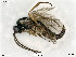  ( - BIOUG05398-G10)  @11 [ ] by-nc-sa (2020) SNSB, Staatliche Naturwissenschaftliche Sammlungen Bayerns SNSB, Zoologische Staatssammlung Muenchen