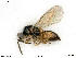  ( - BIOUG05398-H03)  @11 [ ] by-nc-sa (2020) SNSB, Staatliche Naturwissenschaftliche Sammlungen Bayerns SNSB, Zoologische Staatssammlung Muenchen