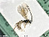  ( - BIOUG05398-H08)  @11 [ ] by-nc-sa (2020) SNSB, Staatliche Naturwissenschaftliche Sammlungen Bayerns SNSB, Zoologische Staatssammlung Muenchen