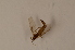  ( - BIOUG05484-G06)  @12 [ ] CreativeCommons - Attribution Non-Commercial Share-Alike (2015) Unspecified SNSB, Zoologische Staatssammlung Muenchen