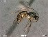  ( - BIOUG05487-E07)  @13 [ ] by-nc-sa (2020) SNSB, Staatliche Naturwissenschaftliche Sammlungen Bayerns SNSB, Zoologische Staatssammlung Muenchen