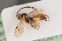  ( - BIOUG05779-D01)  @13 [ ] by-nc-sa (2020) SNSB, Staatliche Naturwissenschaftliche Sammlungen Bayerns SNSB, Zoologische Staatssammlung Muenchen