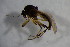  ( - BIOUG05897-A07)  @12 [ ] CreativeCommons - Attribution Non-Commercial Share-Alike (2015) Unspecified SNSB, Zoologische Staatssammlung Muenchen