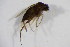  ( - BIOUG05897-G02)  @12 [ ] CreativeCommons - Attribution Non-Commercial Share-Alike (2015) Unspecified SNSB, Zoologische Staatssammlung Muenchen