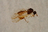  ( - BIOUG05898-A01)  @11 [ ] CreativeCommons - Attribution Non-Commercial Share-Alike (2015) Unspecified SNSB, Zoologische Staatssammlung Muenchen