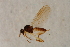  ( - BIOUG05898-B03)  @11 [ ] CreativeCommons - Attribution Non-Commercial Share-Alike (2015) Unspecified SNSB, Zoologische Staatssammlung Muenchen