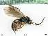 ( - BIOUG06059-C09)  @13 [ ] by-nc-sa (2020) SNSB, Staatliche Naturwissenschaftliche Sammlungen Bayerns SNSB, Zoologische Staatssammlung Muenchen