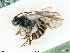  ( - BIOUG06059-C10)  @11 [ ] by-nc-sa (2020) SNSB, Staatliche Naturwissenschaftliche Sammlungen Bayerns SNSB, Zoologische Staatssammlung Muenchen