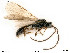  ( - BIOUG06099-D12)  @13 [ ] by-nc-sa (2020) SNSB, Staatliche Naturwissenschaftliche Sammlungen Bayerns SNSB, Zoologische Staatssammlung Muenchen