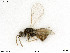 ( - BIOUG06277-H02)  @12 [ ] by-nc-sa (2020) SNSB, Staatliche Naturwissenschaftliche Sammlungen Bayerns SNSB, Zoologische Staatssammlung Muenchen