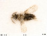  ( - BIOUG07411-F12)  @11 [ ] by-nc-sa (2020) SNSB, Staatliche Naturwissenschaftliche Sammlungen Bayerns SNSB, Zoologische Staatssammlung Muenchen