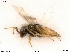  ( - BIOUG07412-E03)  @11 [ ] by-nc-sa (2020) SNSB, Staatliche Naturwissenschaftliche Sammlungen Bayerns SNSB, Zoologische Staatssammlung Muenchen