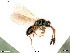  ( - BIOUG07562-C09)  @11 [ ] by-nc-sa (2020) SNSB, Staatliche Naturwissenschaftliche Sammlungen Bayerns SNSB, Zoologische Staatssammlung Muenchen