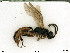  ( - BIOUG07502-D03)  @11 [ ] by-nc-sa (2020) SNSB, Staatliche Naturwissenschaftliche Sammlungen Bayerns SNSB, Zoologische Staatssammlung Muenchen