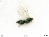  ( - BIOUG07502-G02)  @11 [ ] by-nc-sa (2020) SNSB, Staatliche Naturwissenschaftliche Sammlungen Bayerns SNSB, Zoologische Staatssammlung Muenchen