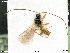  ( - BIOUG07502-G05)  @11 [ ] by-nc-sa (2020) SNSB, Staatliche Naturwissenschaftliche Sammlungen Bayerns SNSB, Zoologische Staatssammlung Muenchen