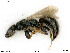  ( - BIOUG08175-C01)  @11 [ ] by-nc-sa (2020) SNSB, Staatliche Naturwissenschaftliche Sammlungen Bayerns SNSB, Zoologische Staatssammlung Muenchen