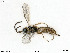  ( - BIOUG08175-F04)  @14 [ ] by-nc-sa (2020) SNSB, Staatliche Naturwissenschaftliche Sammlungen Bayerns SNSB, Zoologische Staatssammlung Muenchen