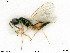  ( - BIOUG08212-C08)  @11 [ ] by-nc-sa (2020) SNSB, Staatliche Naturwissenschaftliche Sammlungen Bayerns SNSB, Zoologische Staatssammlung Muenchen