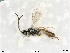  ( - BIOUG08212-E09)  @13 [ ] by-nc-sa (2020) SNSB, Staatliche Naturwissenschaftliche Sammlungen Bayerns SNSB, Zoologische Staatssammlung Muenchen