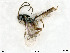  ( - BIOUG08212-E12)  @12 [ ] by-nc-sa (2020) SNSB, Staatliche Naturwissenschaftliche Sammlungen Bayerns SNSB, Zoologische Staatssammlung Muenchen