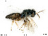  ( - BIOUG08212-G02)  @11 [ ] by-nc-sa (2020) SNSB, Staatliche Naturwissenschaftliche Sammlungen Bayerns SNSB, Zoologische Staatssammlung Muenchen