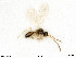  ( - BIOUG08360-C11)  @11 [ ] by-nc-sa (2020) SNSB, Staatliche Naturwissenschaftliche Sammlungen Bayerns SNSB, Zoologische Staatssammlung Muenchen