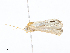  ( - CBG-A13309-H08)  @11 [ ] CreativeCommons - Attribution Share-Alike (2023) CBG Photography Group Centre for Biodiversity Genomics