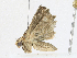  ( - CBG-A13312-A05)  @11 [ ] CreativeCommons - Attribution Share-Alike (2023) CBG Photography Group Centre for Biodiversity Genomics