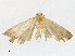  ( - CBG-A16680-B04)  @11 [ ] CreativeCommons - Attribution Share-Alike (2023) CBG Photography Group Centre for Biodiversity Genomics