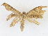  ( - CBG-A16680-B05)  @11 [ ] CreativeCommons - Attribution Share-Alike (2023) CBG Photography Group Centre for Biodiversity Genomics