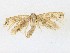  ( - CBG-A16680-B06)  @11 [ ] CreativeCommons - Attribution Share-Alike (2023) CBG Photography Group Centre for Biodiversity Genomics