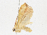  ( - CBG-A16681-D07)  @11 [ ] CreativeCommons - Attribution Share-Alike (2023) CBG Photography Group Centre for Biodiversity Genomics