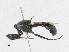  ( - CBG-A16682-A04)  @11 [ ] CreativeCommons - Attribution Share-Alike (2023) CBG Photography Group Centre for Biodiversity Genomics