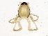 ( - BIOUG04380-C12)  @12 [ ] CreativeCommons - Attribution (2013) CBG Photography Group Centre for Biodiversity Genomics